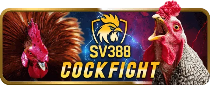 Cấp độ VIP Vàng tv888 casino